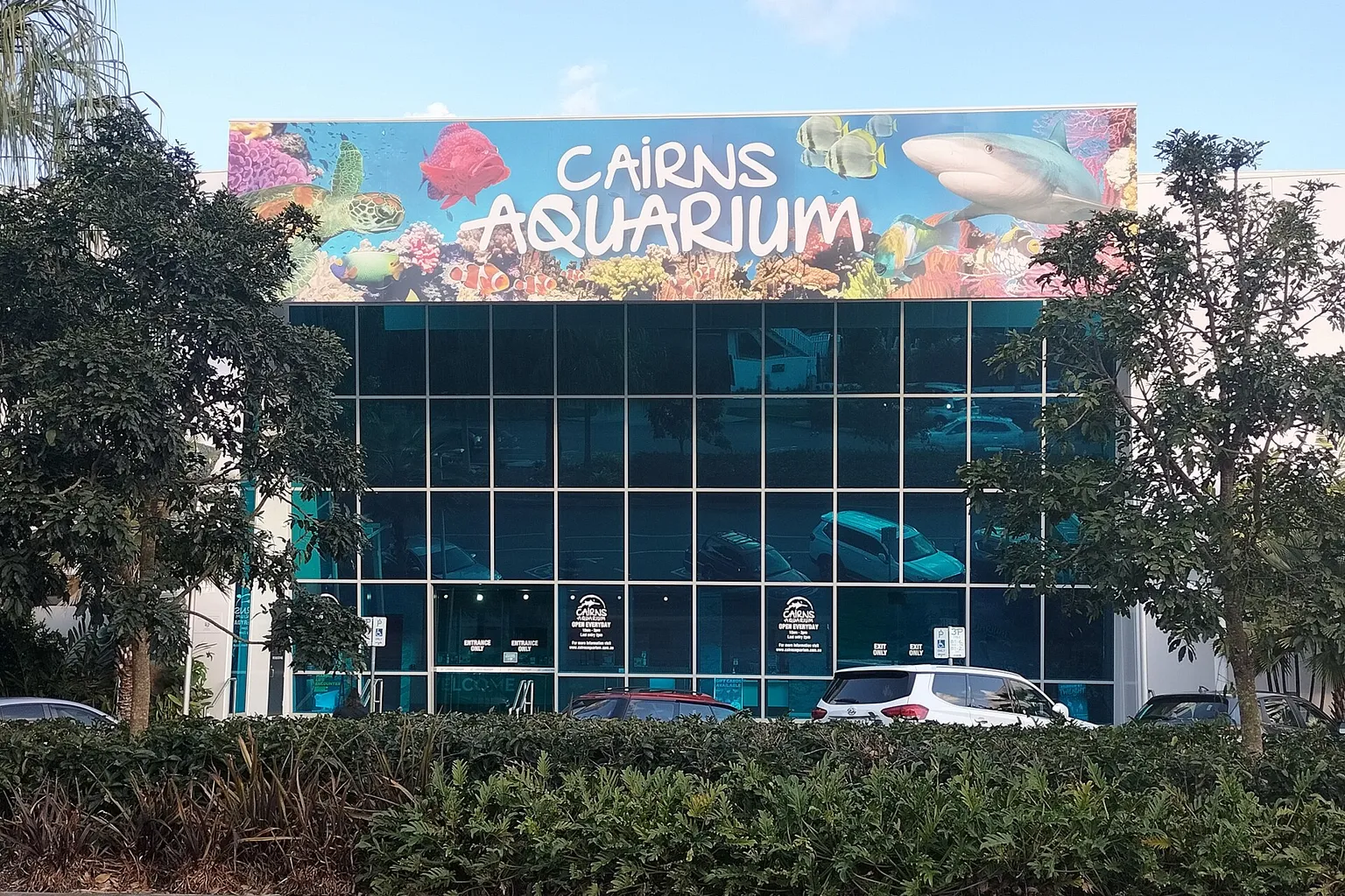 Aquarium de Cairns horaires : planifier sa visite en 5 minutes